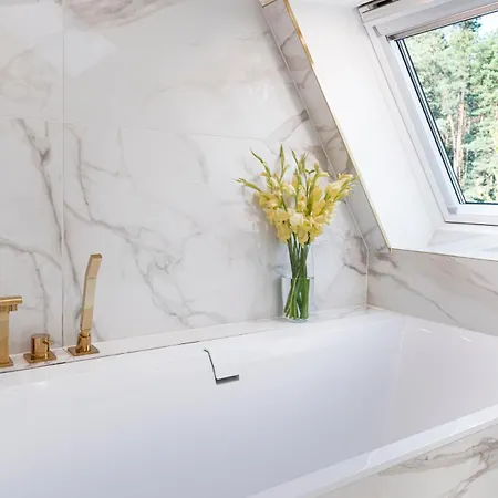 Luxury With Sauna In The Pine Forest Close To Centre Villa *